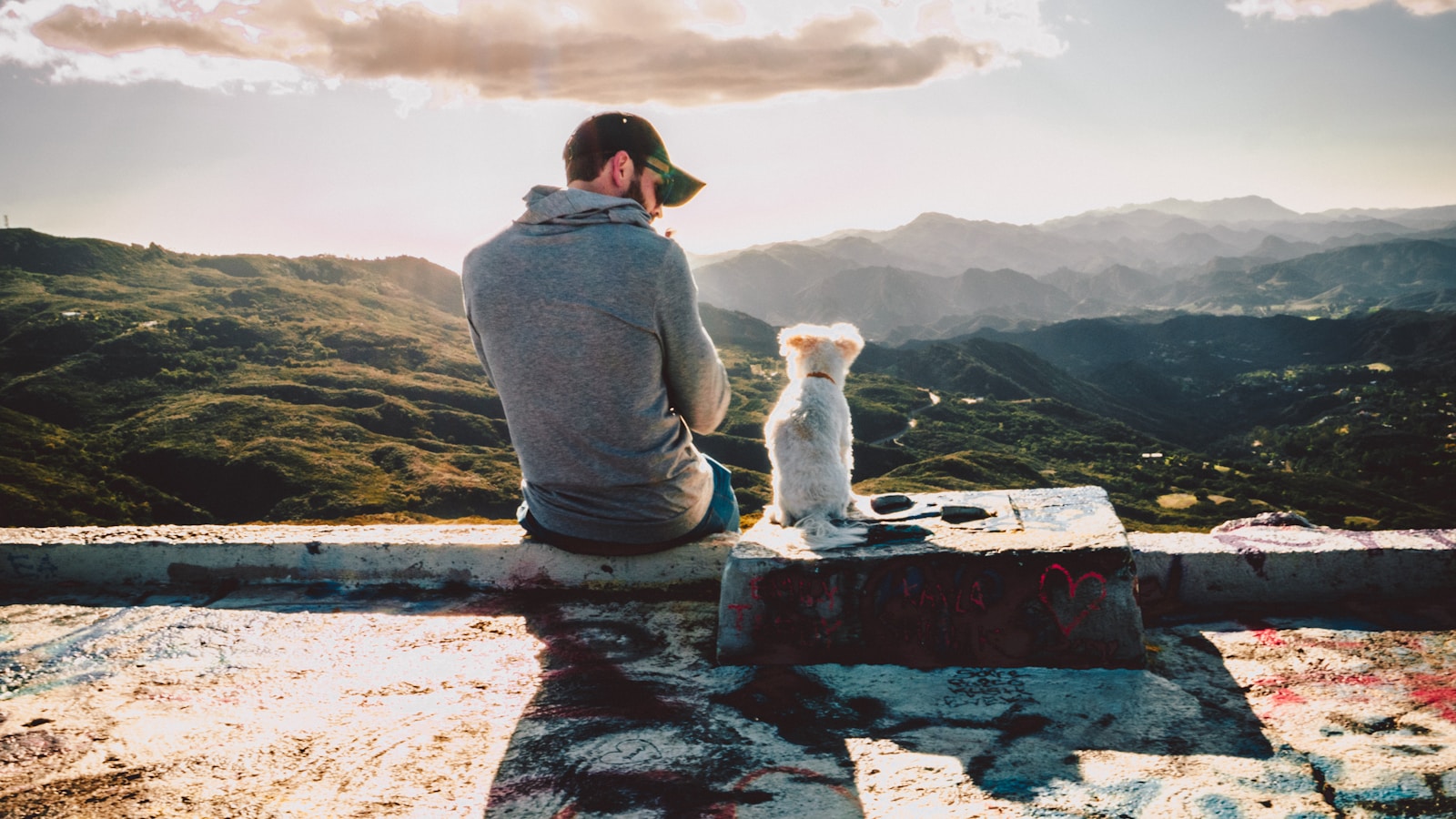 What to Do When Your Puppy Is Afraid of New People - Dog Life Made Simple