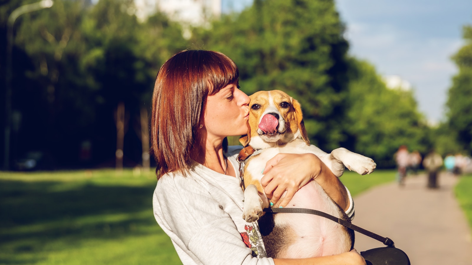 Why Puppies Get Wild at Night and What Helps - Dog Life Made Simple