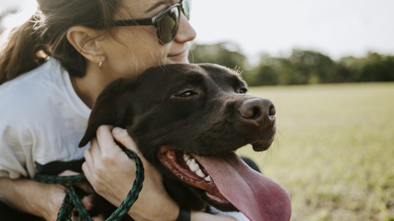 How to Introduce Your Puppy to Other Dogs Safely - Dog Life Made Simple