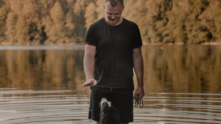 Signs Your Puppy Is Overstimulated and Needs a Break - Dog Life Made Simple