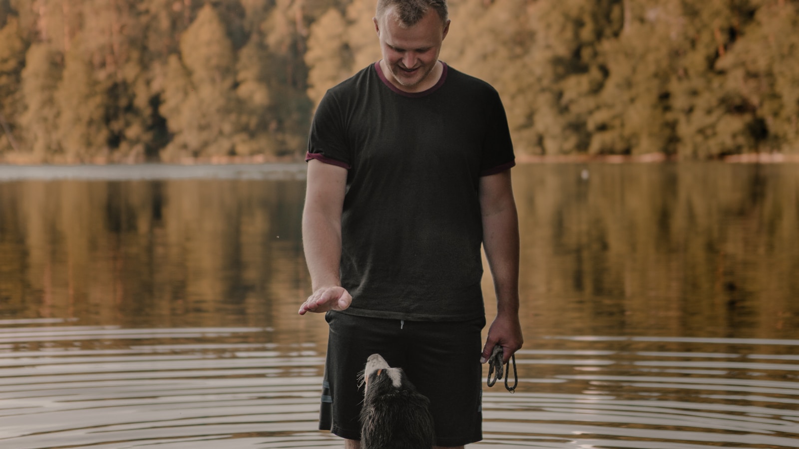 Signs Your Puppy Is Overstimulated and Needs a Break - Dog Life Made Simple