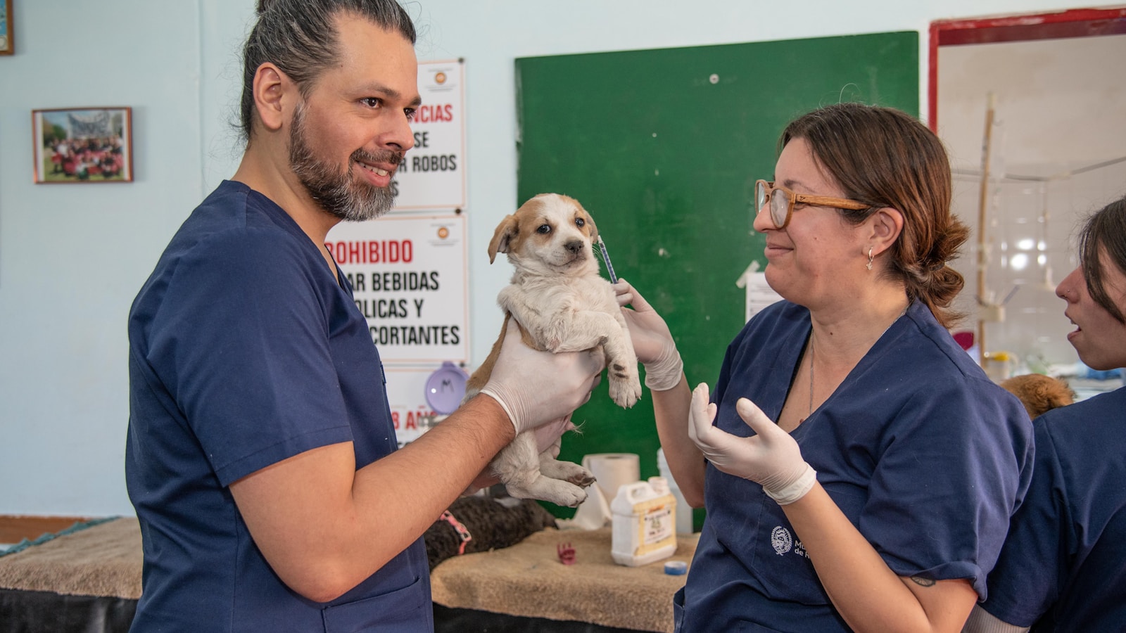 The Everyday Signs Your Dog May Need a Vet - Dog Life Made Simple