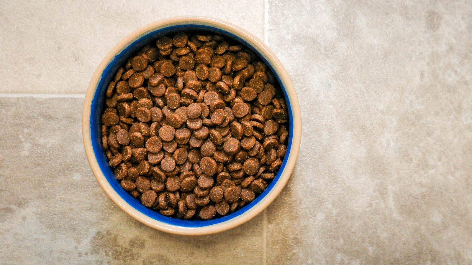 How to Measure Dog Food Without Guessing - Dog Life Made Simple
