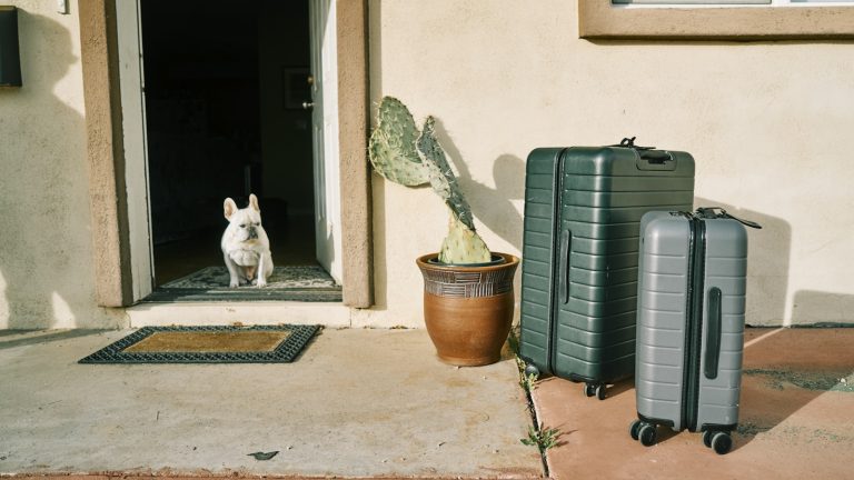 How to Build a Balanced Daily Routine for Your Dog - Dog Life Made Simple